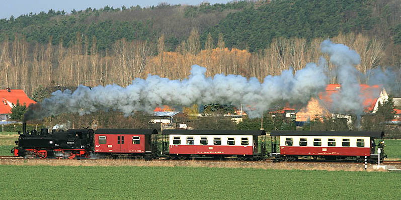 995906-lP8961-Quedlinburg-20070328-Holzborn