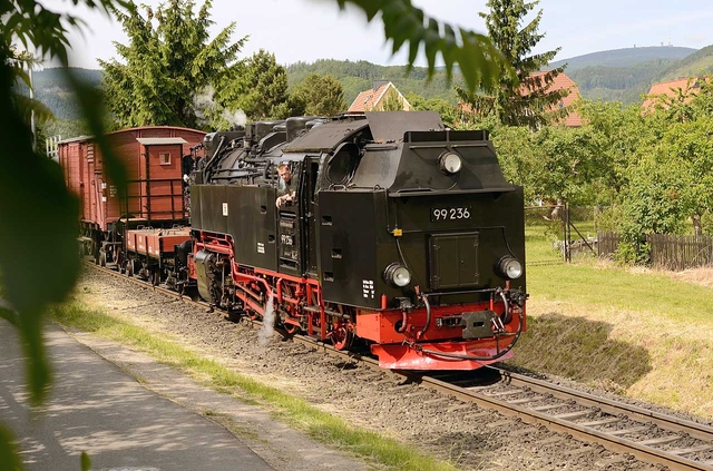 99 236 mit G89121 Wernigerode Hasserode am 10.06.2012 - Fotograf: Klaus D. Holzborn